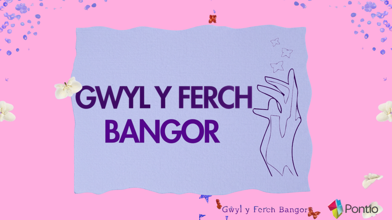 Gwyl y ferch poster