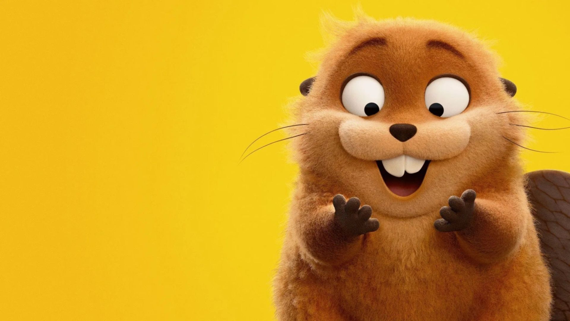 smiling beaver and yellow background