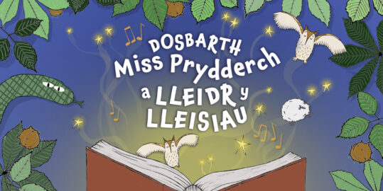 Show title in white font with a border of leaves, two owls and an open book against a night sky background