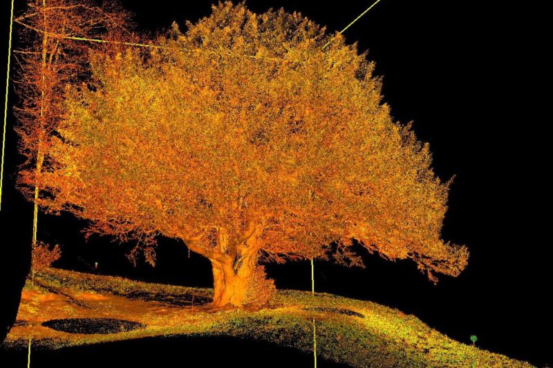 At Eich Coed Joe Roberts