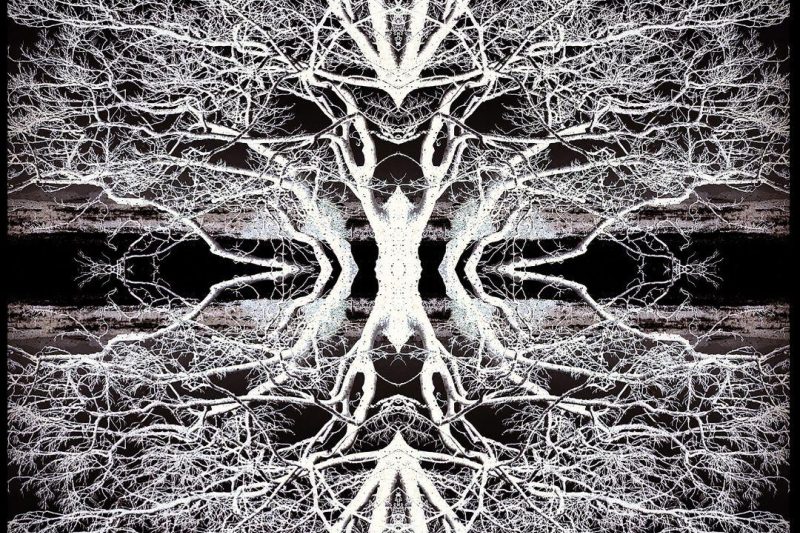 At Eich Coed Utopias Bach