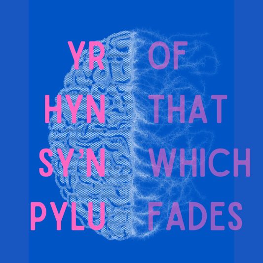 Of that which fades poster